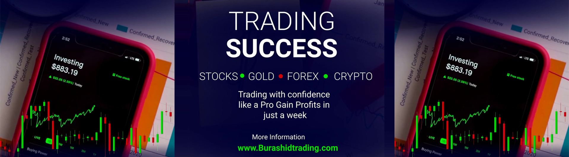 BR Program for Professional Trading